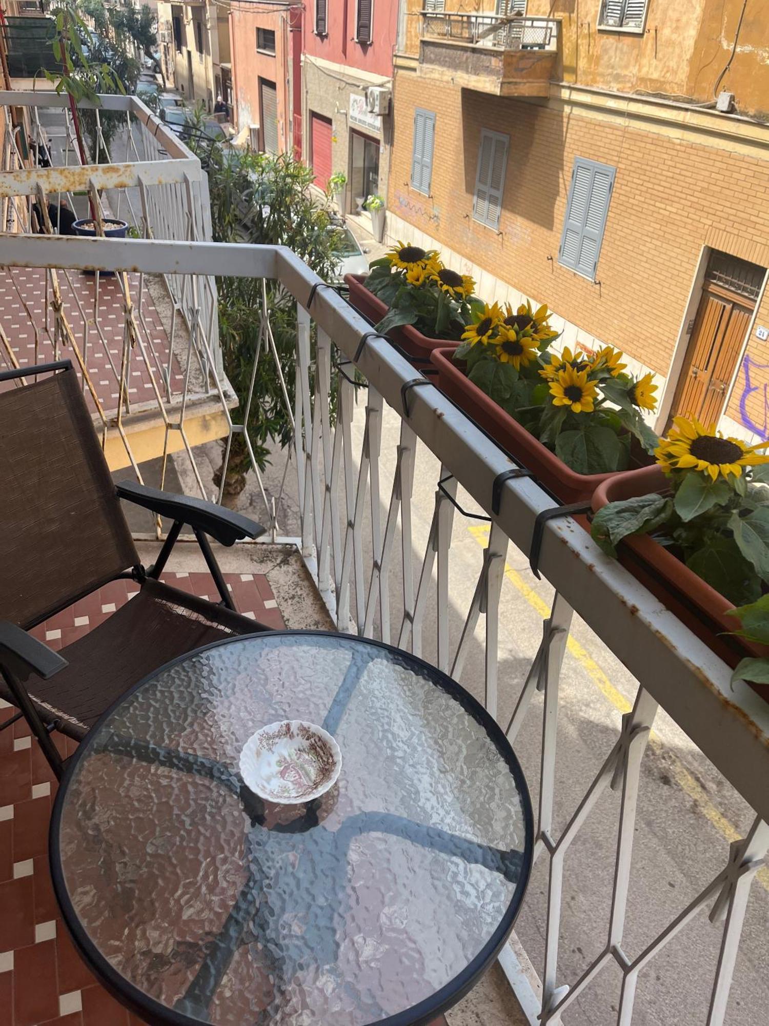 Specter Guesthouse Nettuno Exterior foto